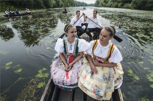 A hagyomány szerint legények zöld ágakkal feldíszített ladikokkal a Sugovica partján sétálgató lányokat hívták csónakázni. (MTI Fotó: Ujvári Sándor)