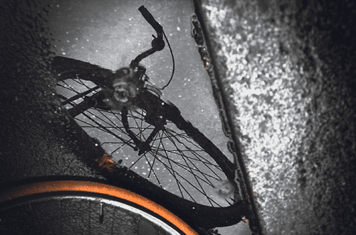 Gergely Tamás: Goethe biciklije