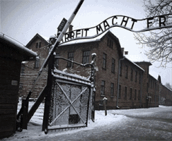 Shogór Susana:  Auschwitz kapuja